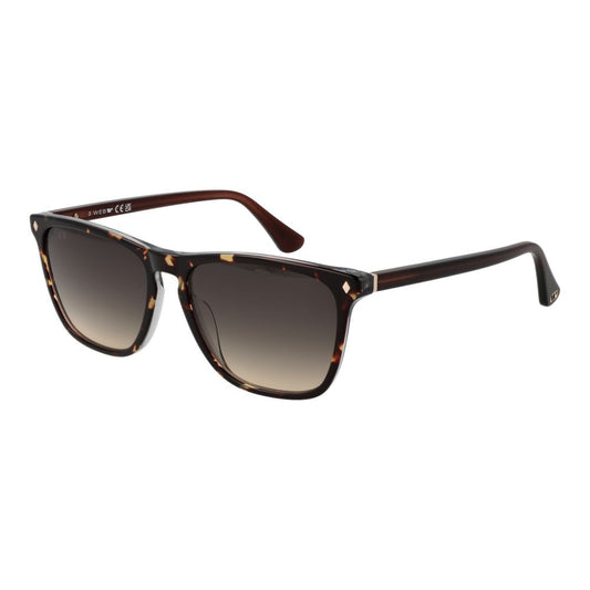 Gafas de sol Web Brown para hombre