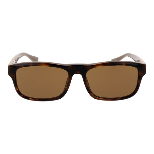 Gafas de sol Web Brown para hombre