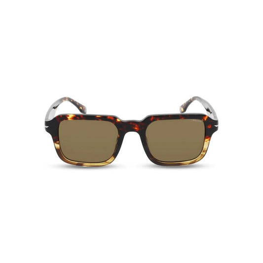 Police Brown Acetate Sunglasses