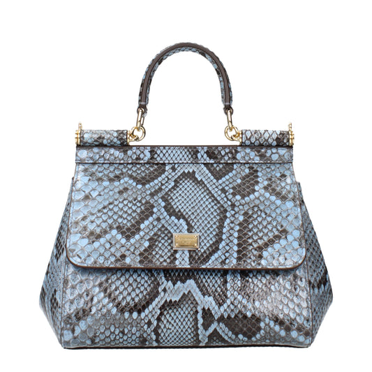 Dolce & Gabbana Light Blue Skin Handbag