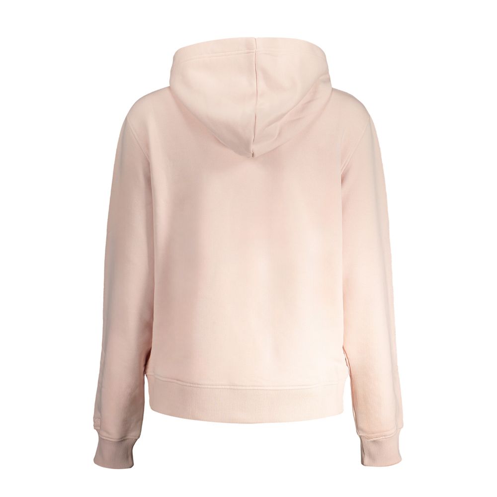 Calvin Klein Pink Cotton Sweater