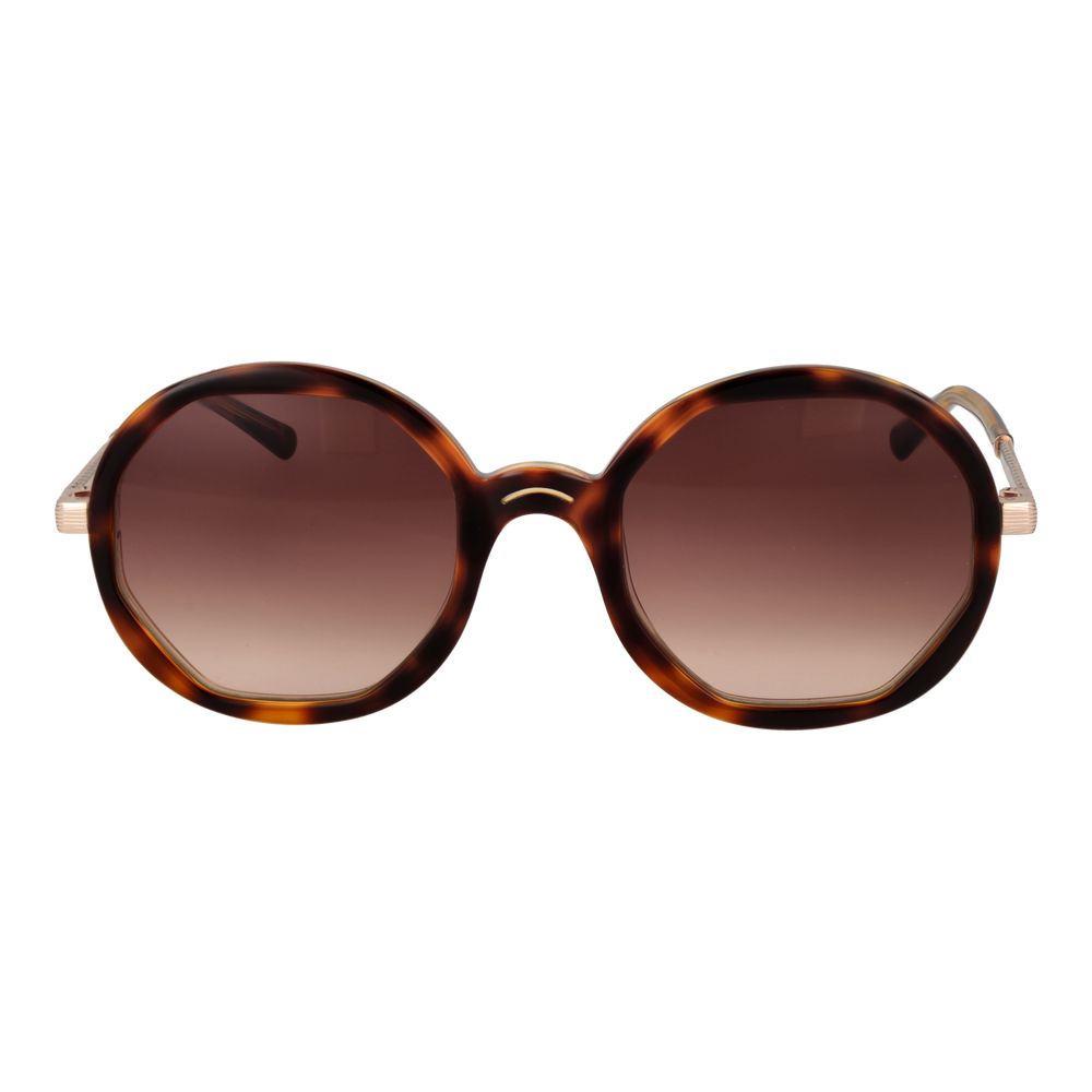 Sandro Brown Women Sunglasses